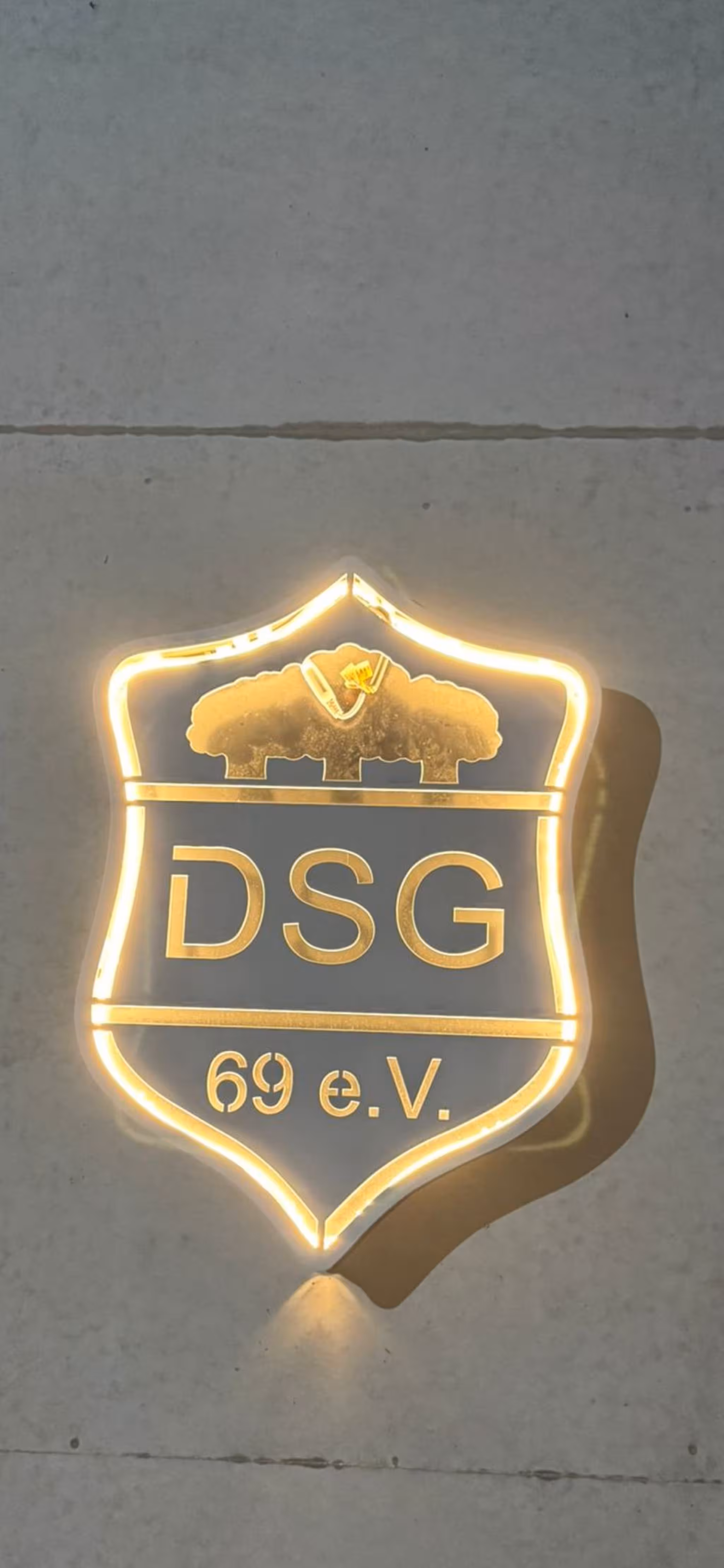 Wenn im Winter das DSG-Logo leuchtet und die Zukunft vorbereitet wird